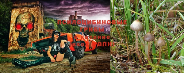 шишки Абдулино